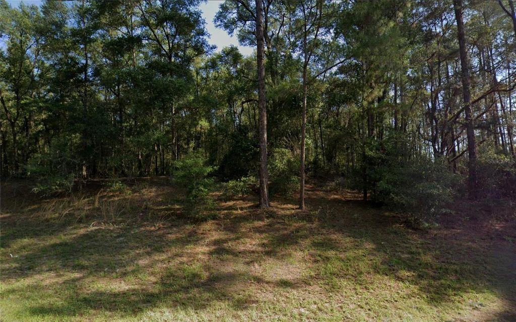 Photo of 9273 N Athenia Drive, Dunnellon, FL 34434 (MLS # TB8450258)