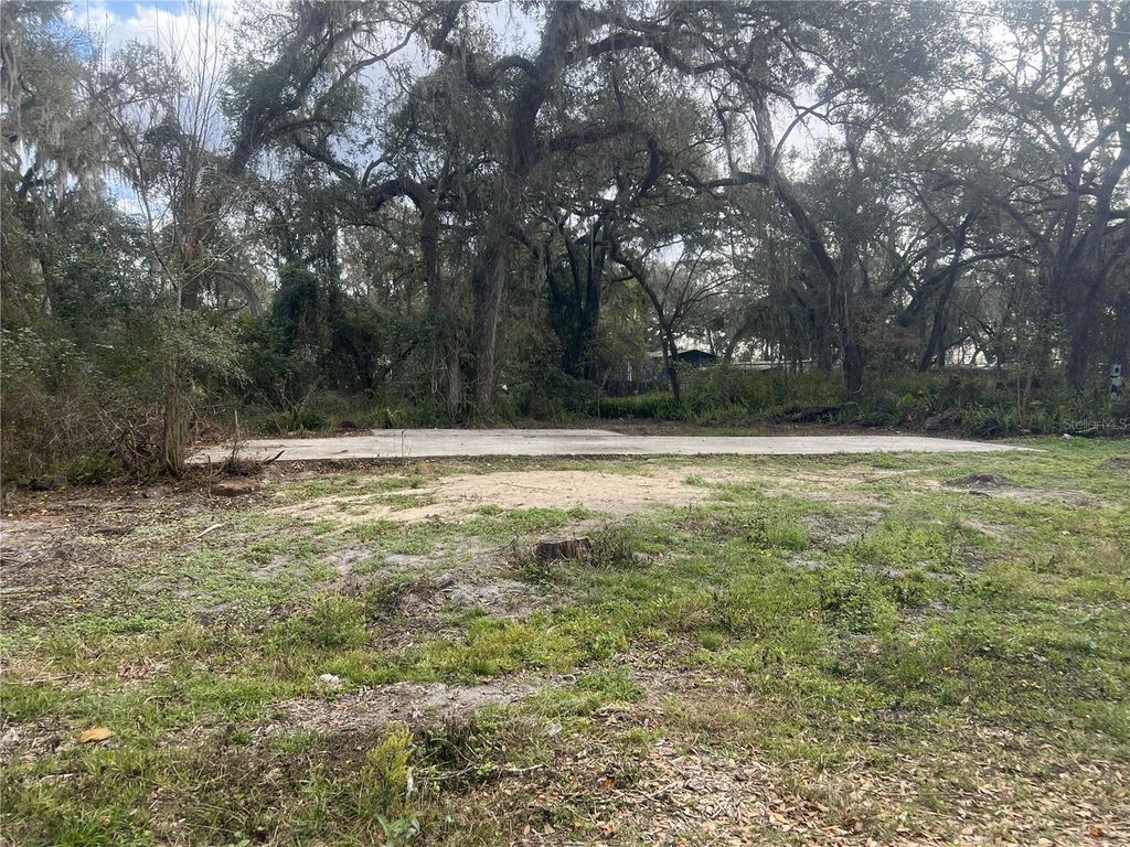 Photo of 11459 Cr 678, Webster, FL 33597 (MLS # G5106721)