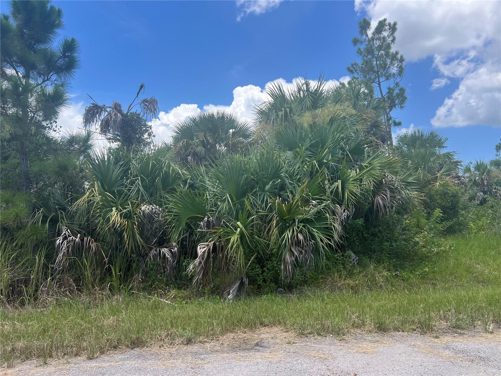 Perfect opportunity to invest or build your dream on Fiveleaf Rd in North Port, the fast-growing city in Sarasota County! Minutes away from I-75 and US-41 for an easy commute to local beaches, dining, shopping and other entertainments. The lot is located in flood zone X and has no HOA.