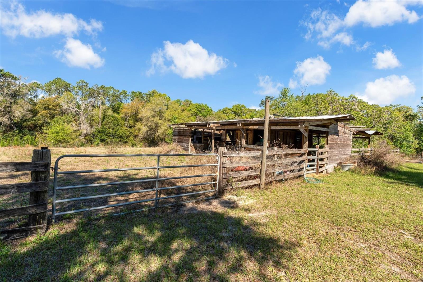 5049 - ORANGE CITY - NORTHEAST ACREAGE - Residential