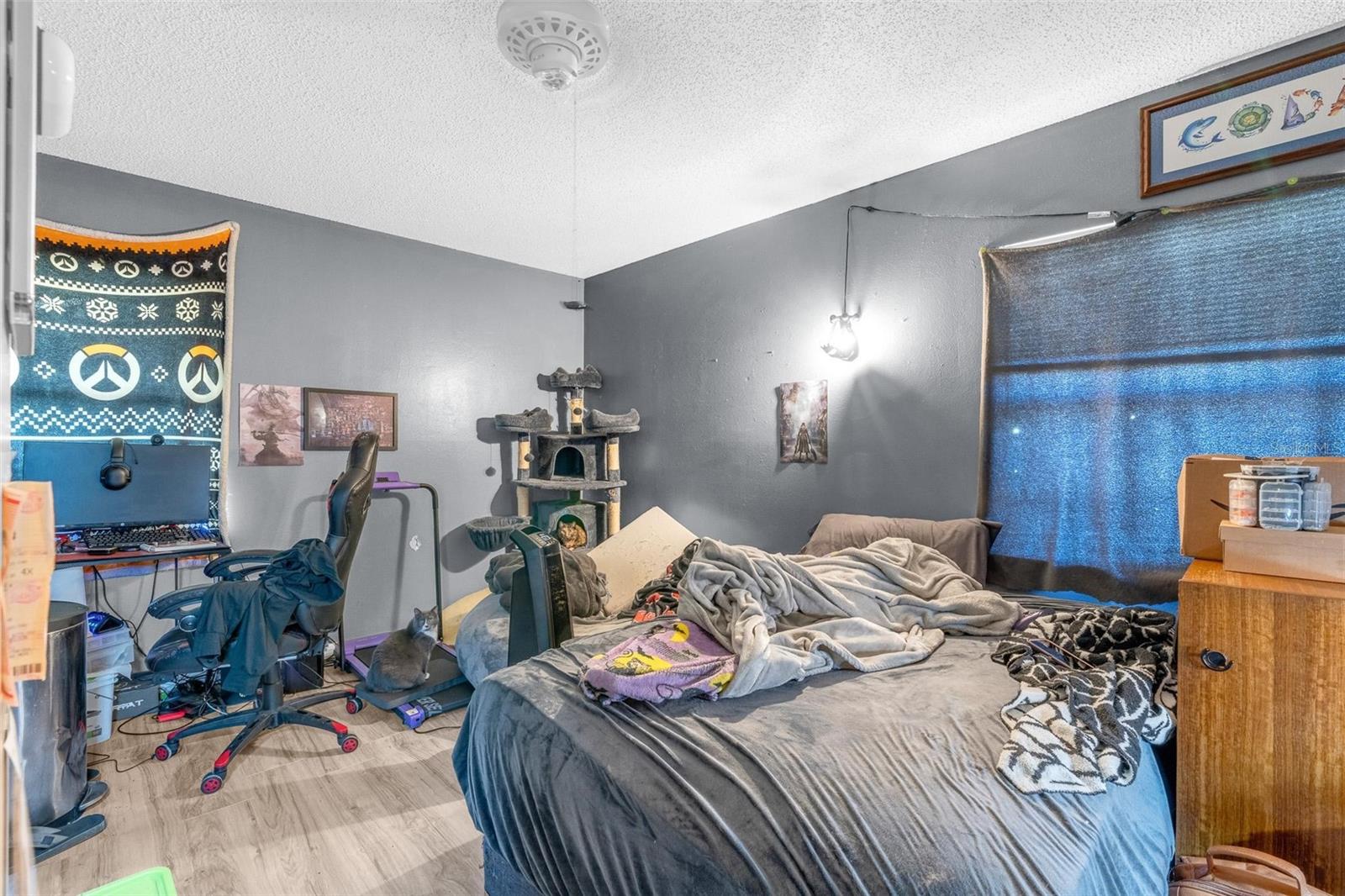 5049 - ORANGE CITY - NORTHEAST ACREAGE - Residential