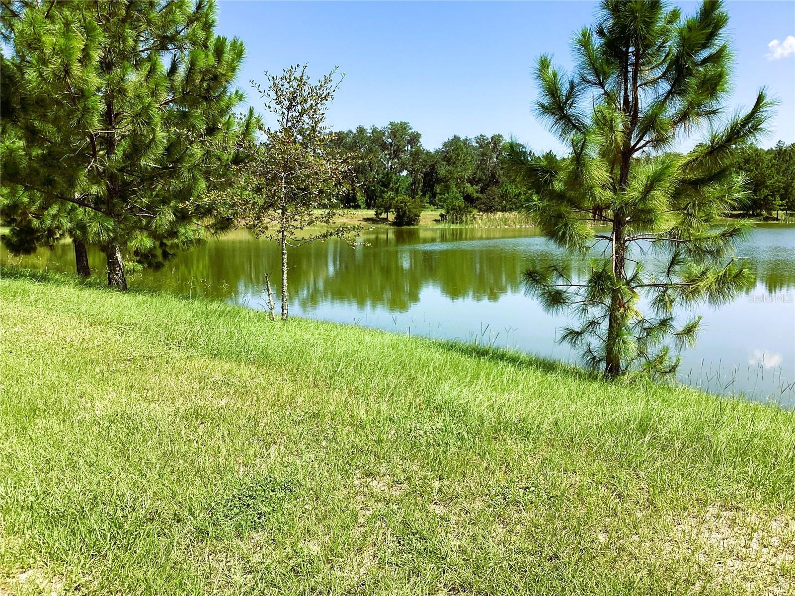 345 SW SILVER PALM DRIVE