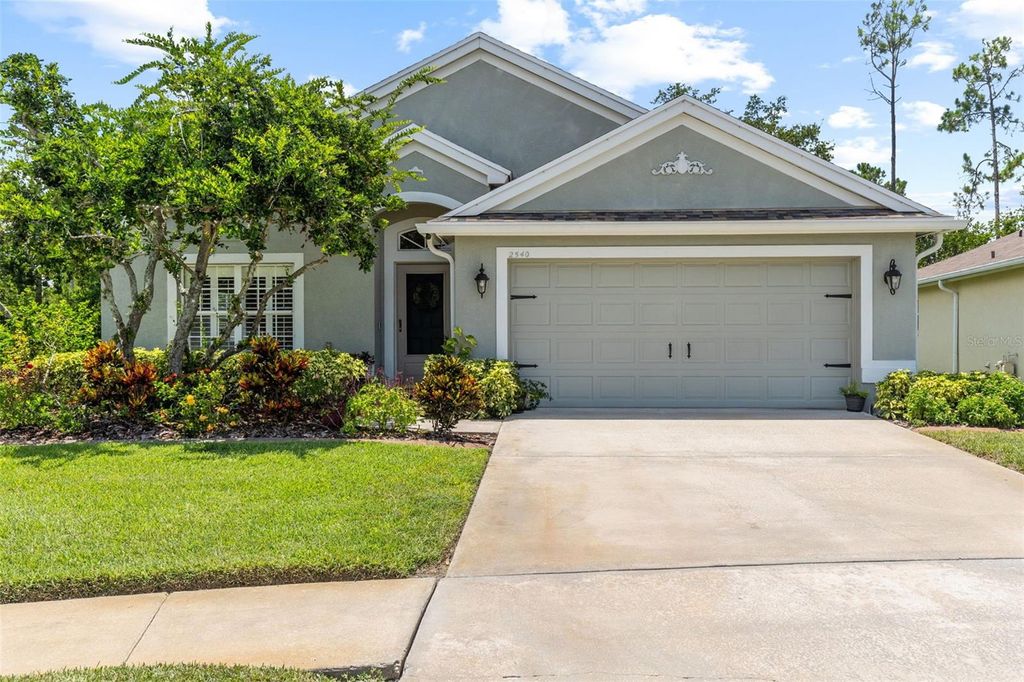 Photo of 2540 Rosehaven Drive, Wesley Chapel, FL 33544 (MLS # TB8407128)