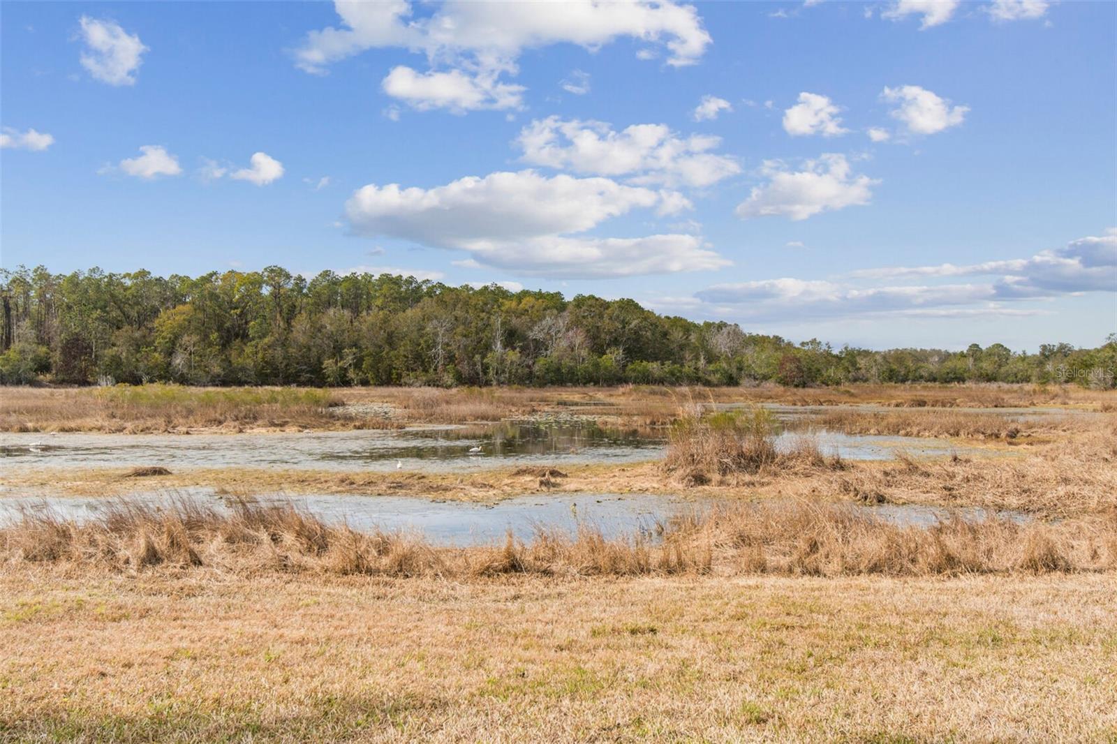QUAIL RIDGE - Residential