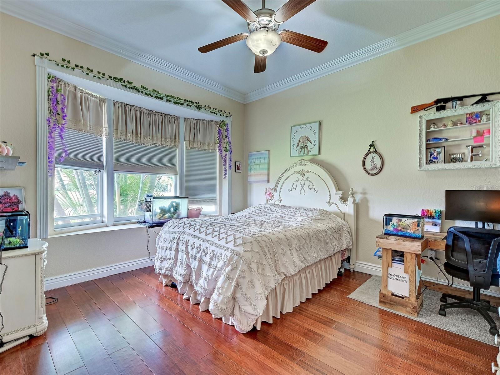 BOBCAT TRAIL - Residential