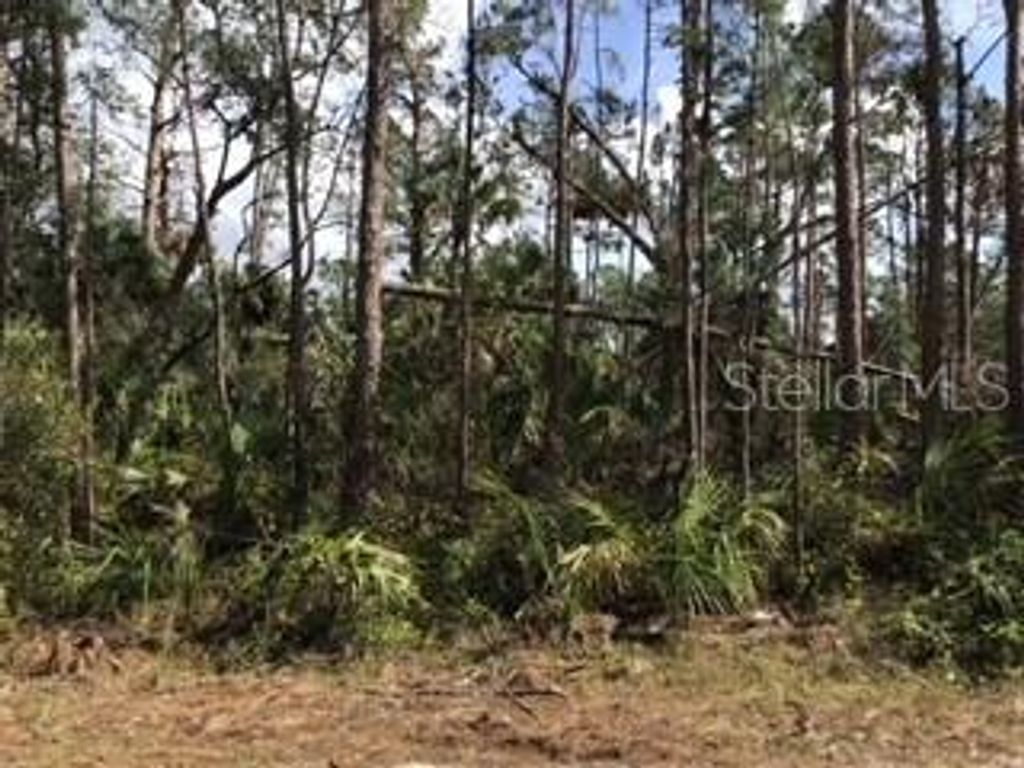 Photo of Ripley Street, North Port, FL 34286 (MLS # A4557491)