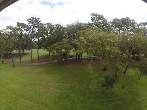 A home in PALM HARBOR