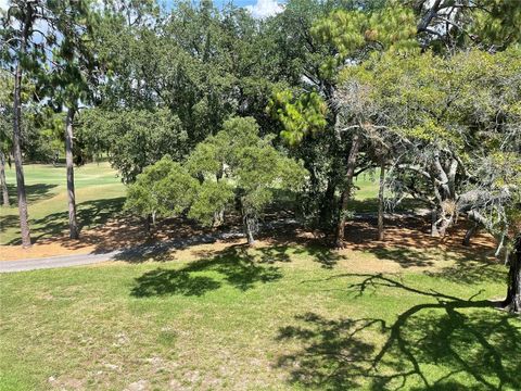 A home in PALM HARBOR