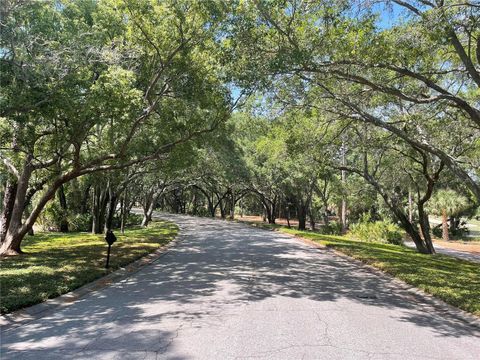 A home in PALM HARBOR