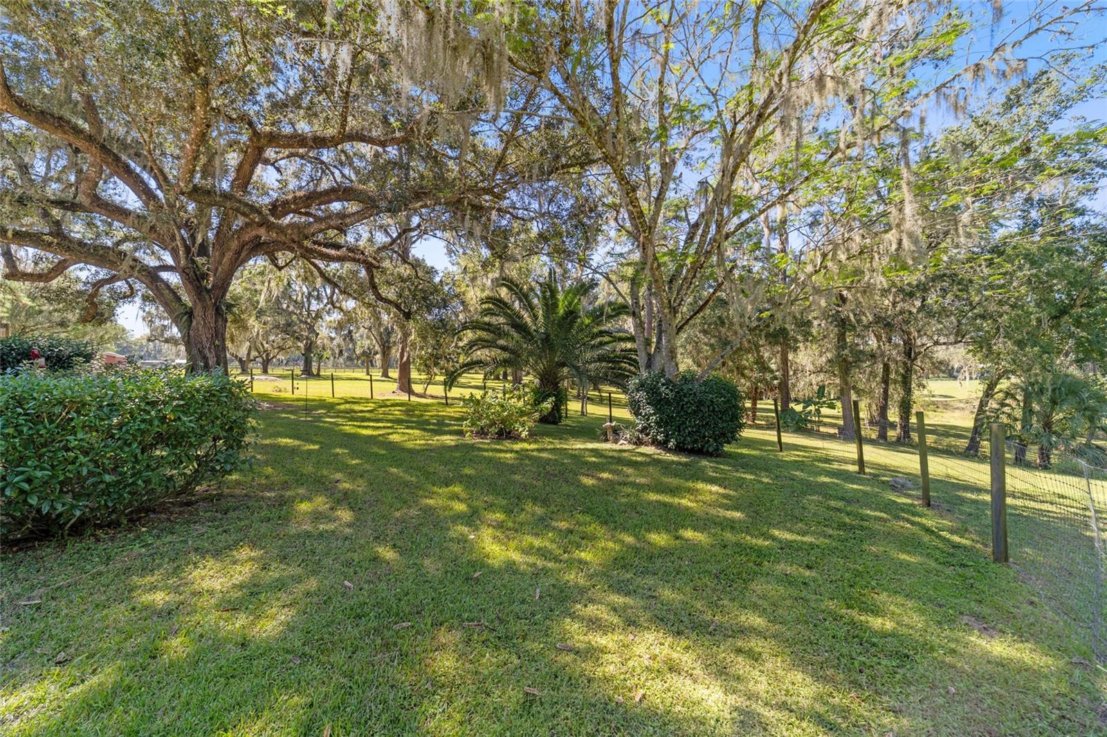 ROLLING OAKS MINI RANCHES - Residential