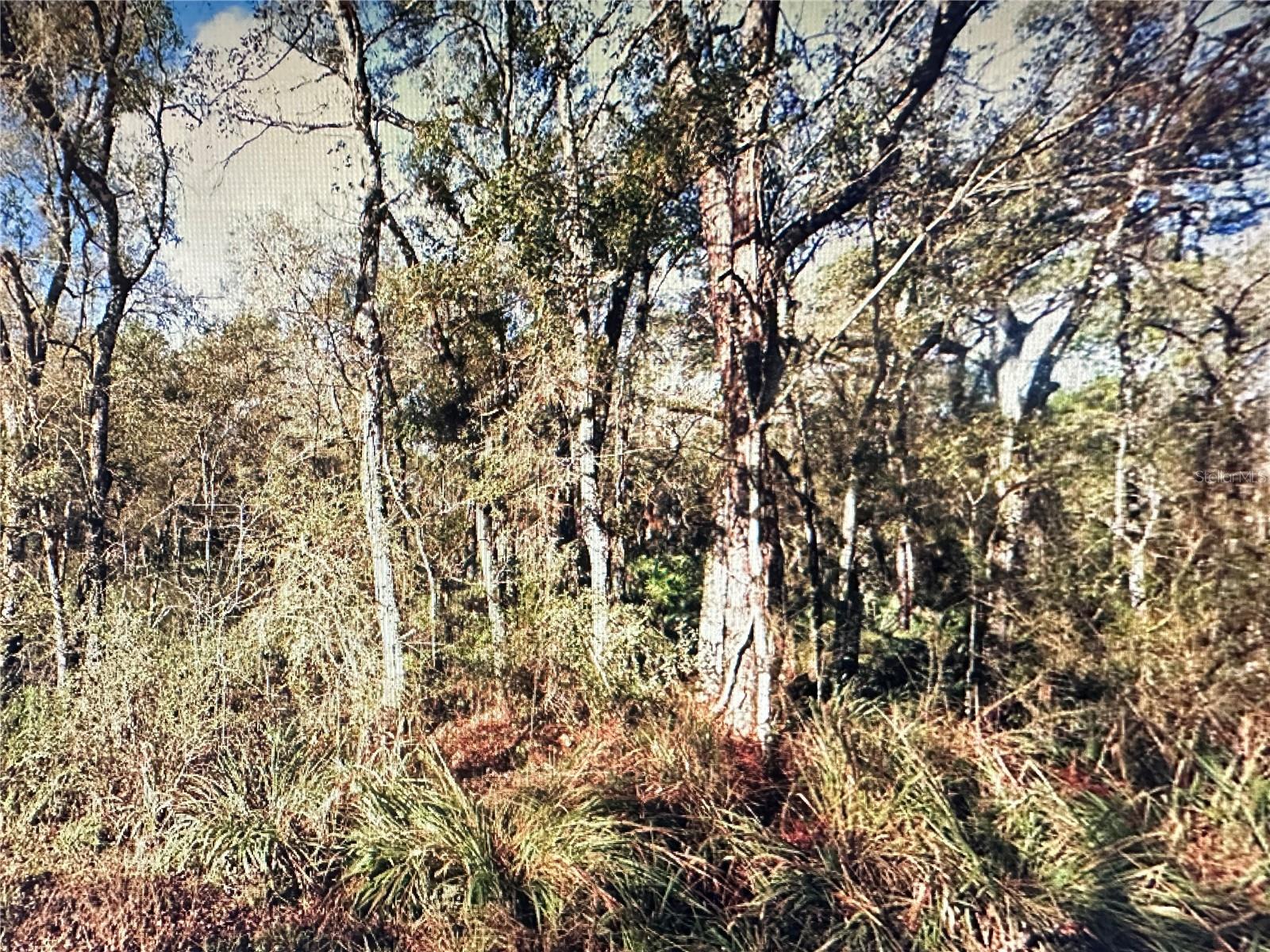 Listing image 1