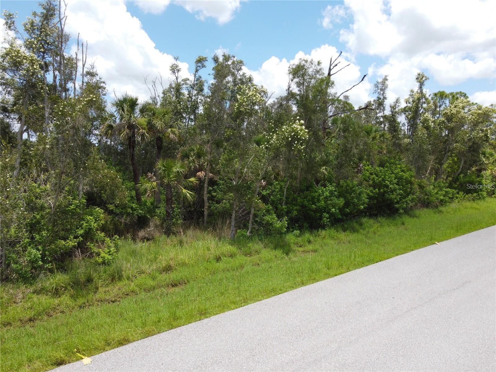 14120 MYAKKA AVENUE, PORT CHARLOTTE, FL, 33953 1 14120 MYAKKA AVENUE