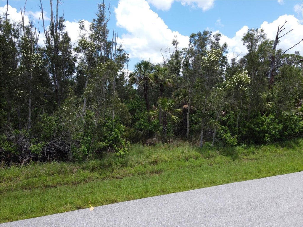 Photo of 14120 Myakka Avenue, Port Charlotte, FL 33953 (MLS # N6146036)
