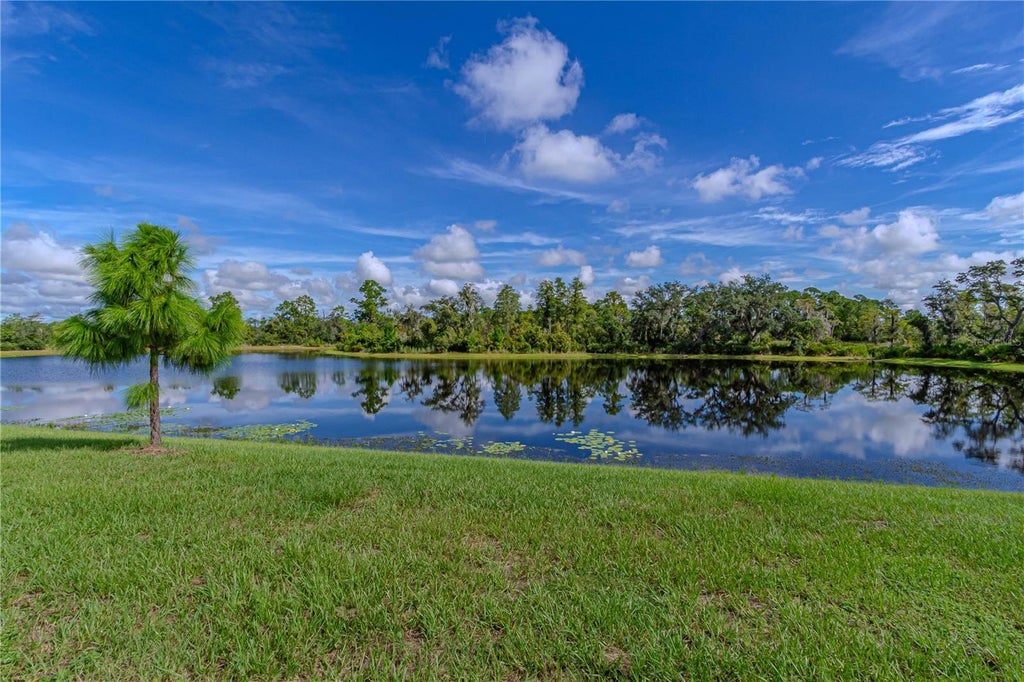 Photo of 17558 Blazing Star Circle, Clermont, FL 34714 (MLS # O6440280)