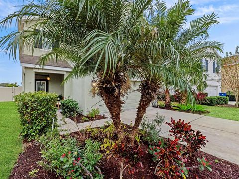 A home in WESLEY CHAPEL