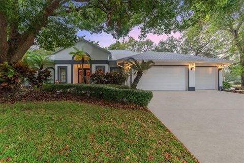 A home in PALM HARBOR