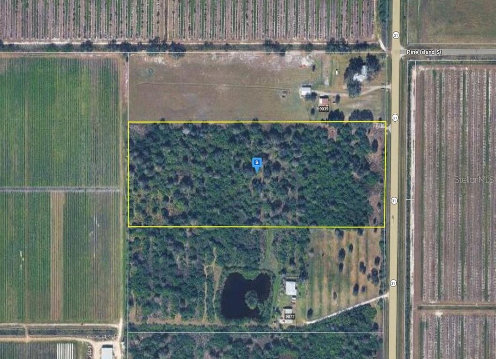 Photo of 9059 SE Hwy 31, Arcadia, FL 34266 (MLS # A4684979)