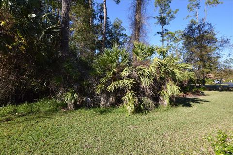 A home in PALM COAST