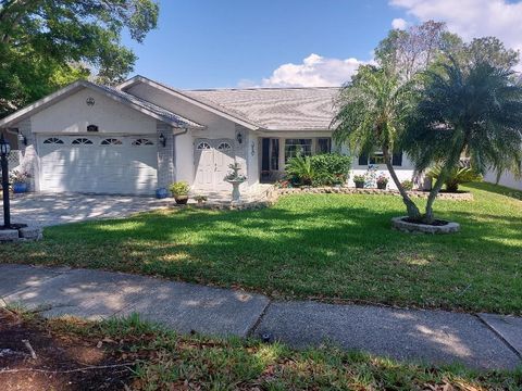 Photo of 1207 Gillespie Drive N, Palm Harbor, FL 34684 (MLS # TB8491462)