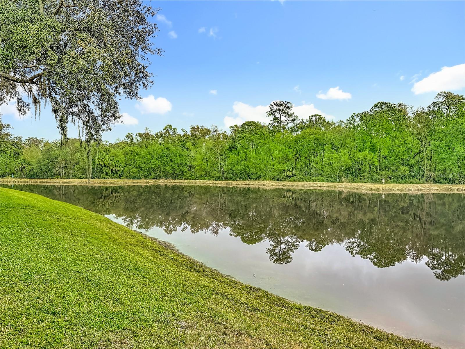 RICHMOND PLACE PH 1 - Residential