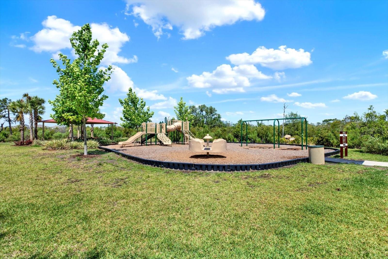 WESTGATE AT AVALON PARK NORTH - Residential