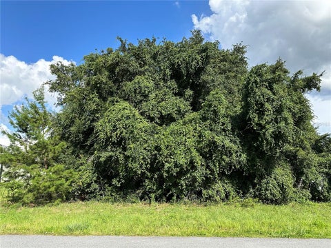 Tiny photo for 000 SW 128th Place, Ocala, FL 34473 (MLS # OM731136)