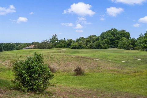 Tiny photo for 25551 Hawks Run Lane, Sorrento, FL 32776 (MLS # O6346583)