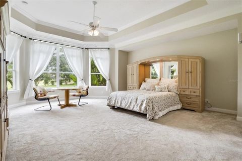 Tiny photo for 25551 Hawks Run Lane, Sorrento, FL 32776 (MLS # O6346583)