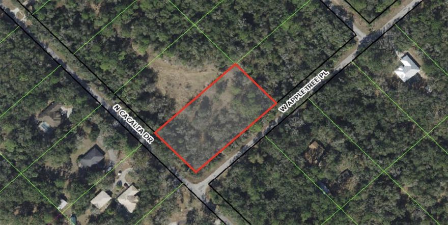 Discover the perfect balance of space, privacy, and convenience with this oversized 1.25 acre vacant corner lot offering just over an acre in the Crystal Manor / Crystal River area. With no HOA or deed restrictions, this property provides the freedom to design and build a custom home, retreat, or investment opportunity surrounded by Florida’s natural beauty. The generous parcel allows flexibility for outdoor living, gardens, recreational space, or future enhancements, all within a quiet, established residential setting with paved road access. Enjoy being just minutes from everything Crystal River is known for, including Three Sisters Springs, Kings Bay, and the Gulf of Mexico—ideal for boating, kayaking, fishing, scalloping, and manatee watching. Downtown Crystal River is a short drive for dining, shopping, medical facilities, and everyday conveniences. The property is also well positioned near the planned Suncoast Parkway (SR 589) extension, offering future connectivity, with Tampa and Orlando each within approximately 90 miles. Quiet, spacious, and full of potential, this is your opportunity to own a slice of Florida freedom.