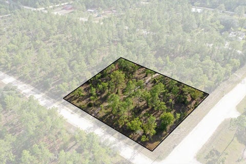 Photo of 0000 NE 132 Terrace Lot 1 Terrace, Williston, FL 32696 (MLS # TB8529194)