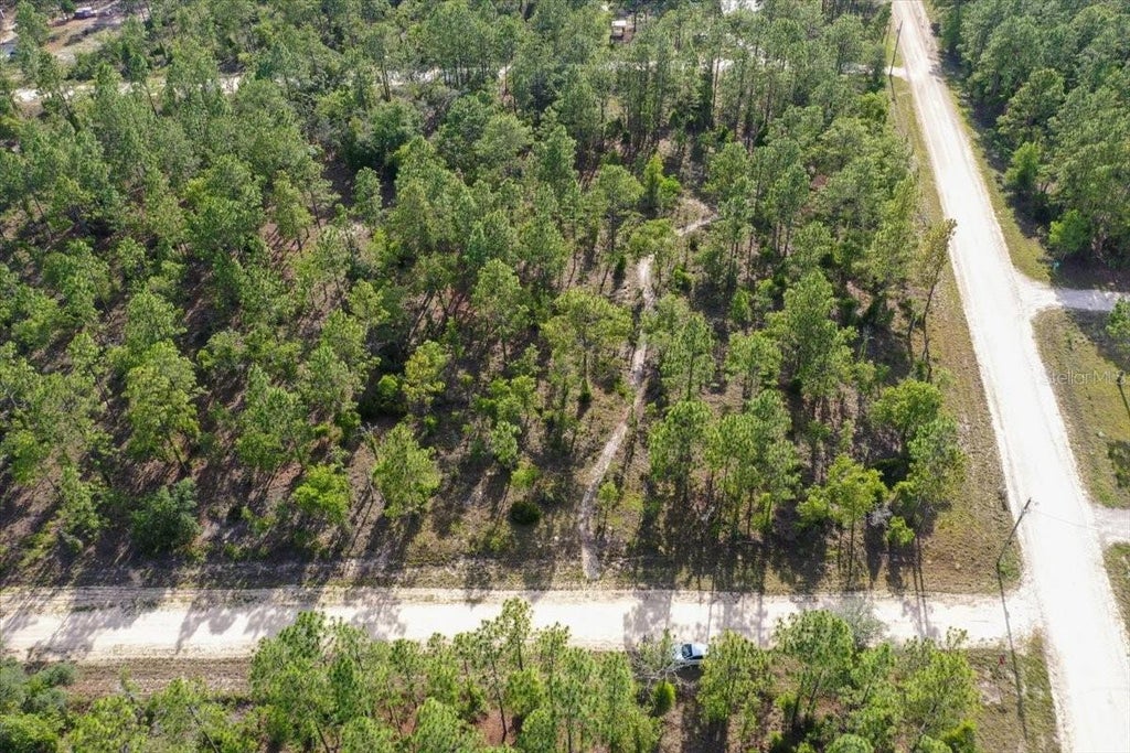 Photo of 0000 NE 132 Terrace Lot 1 Terrace, Williston, FL 32696 (MLS # TB8529194)