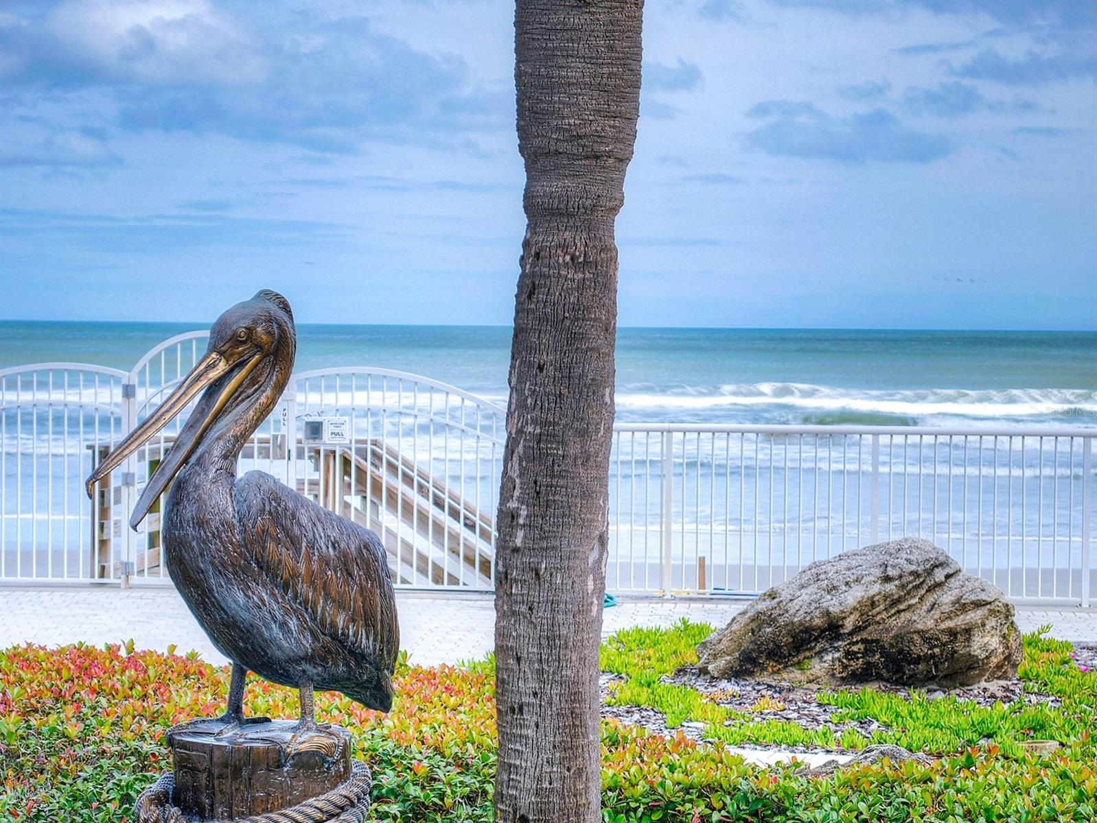 Pelican - Residential