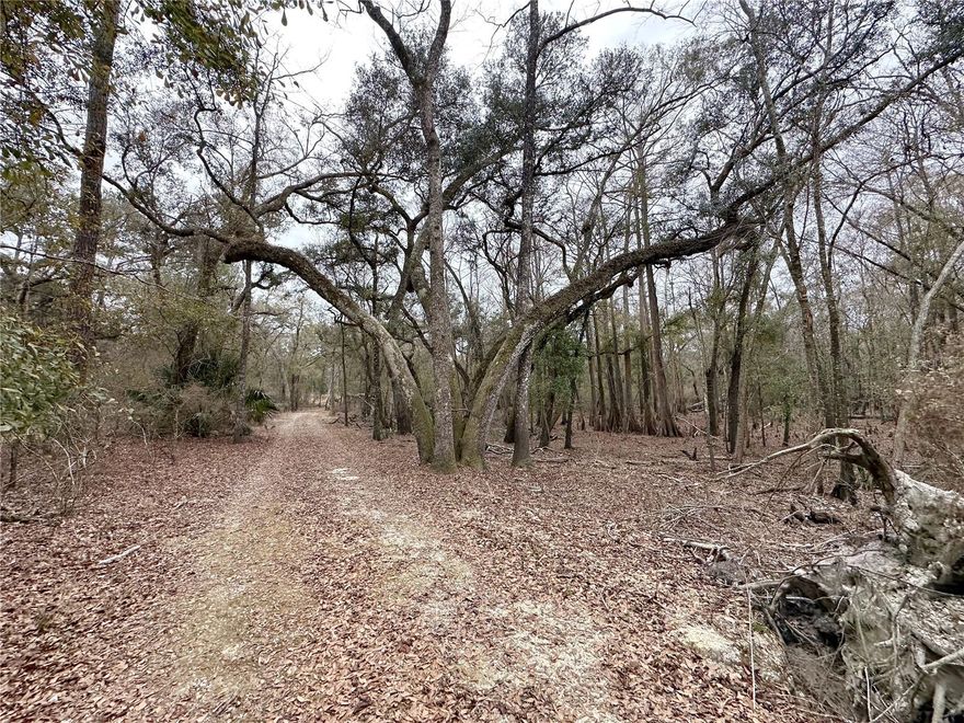 PROFESSIONAL PHOTOS COMING SOON. 
Discover 22 beautiful acres in Bell, FL located directly across from Hart Springs State Park & Campground! This property already features a well and offers the perfect setting for your dream home, weekend retreat, or investment opportunity. Enjoy being just minutes from the Suwannee River and nearby boat ramp, making it ideal for nature lovers, boating, and outdoor recreation. Experience peaceful North Florida living while still having convenient access to local amenities
