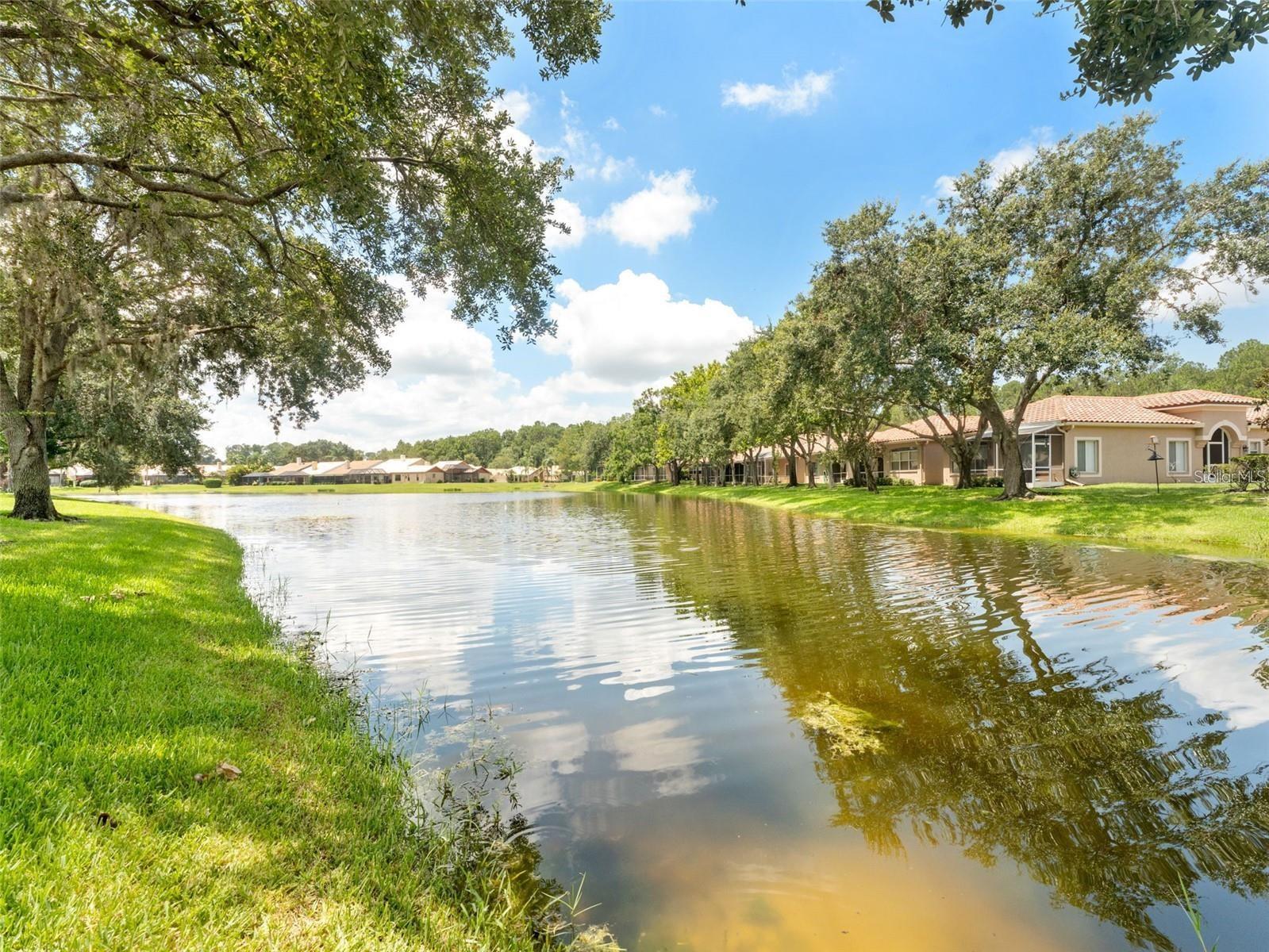 SALEM VILLAGE - Residential