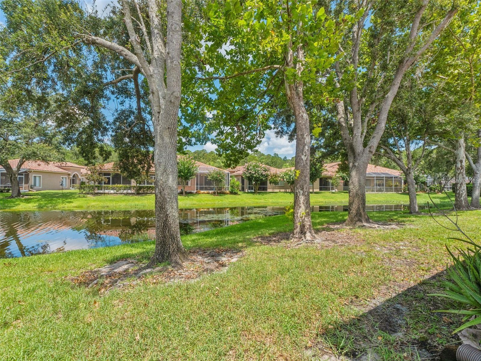 SALEM VILLAGE - Residential