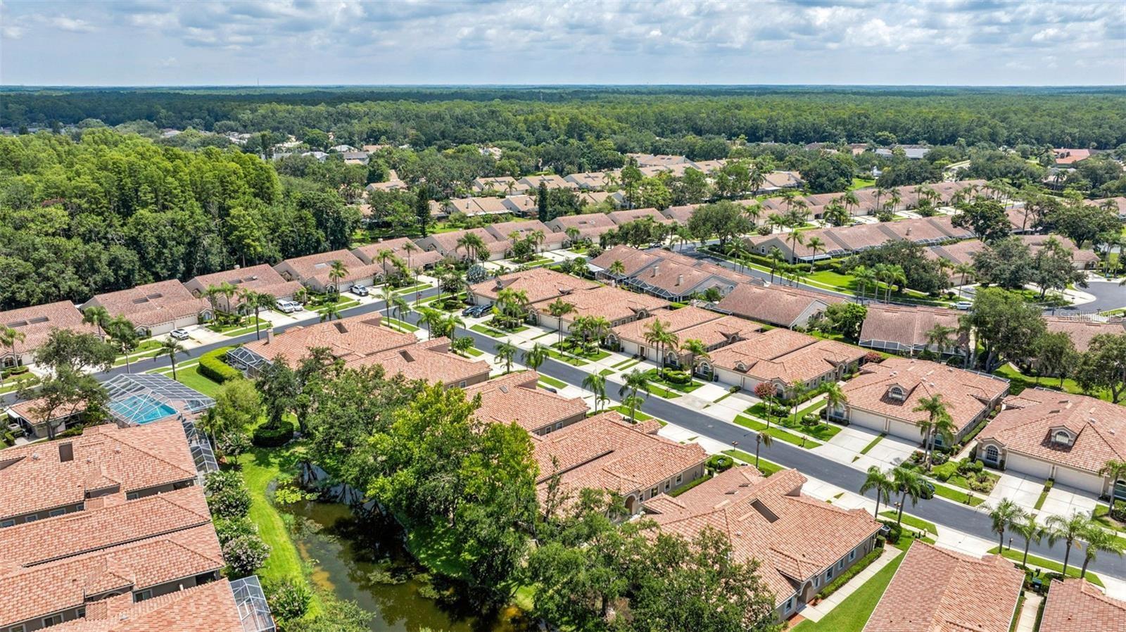 SALEM VILLAGE - Residential