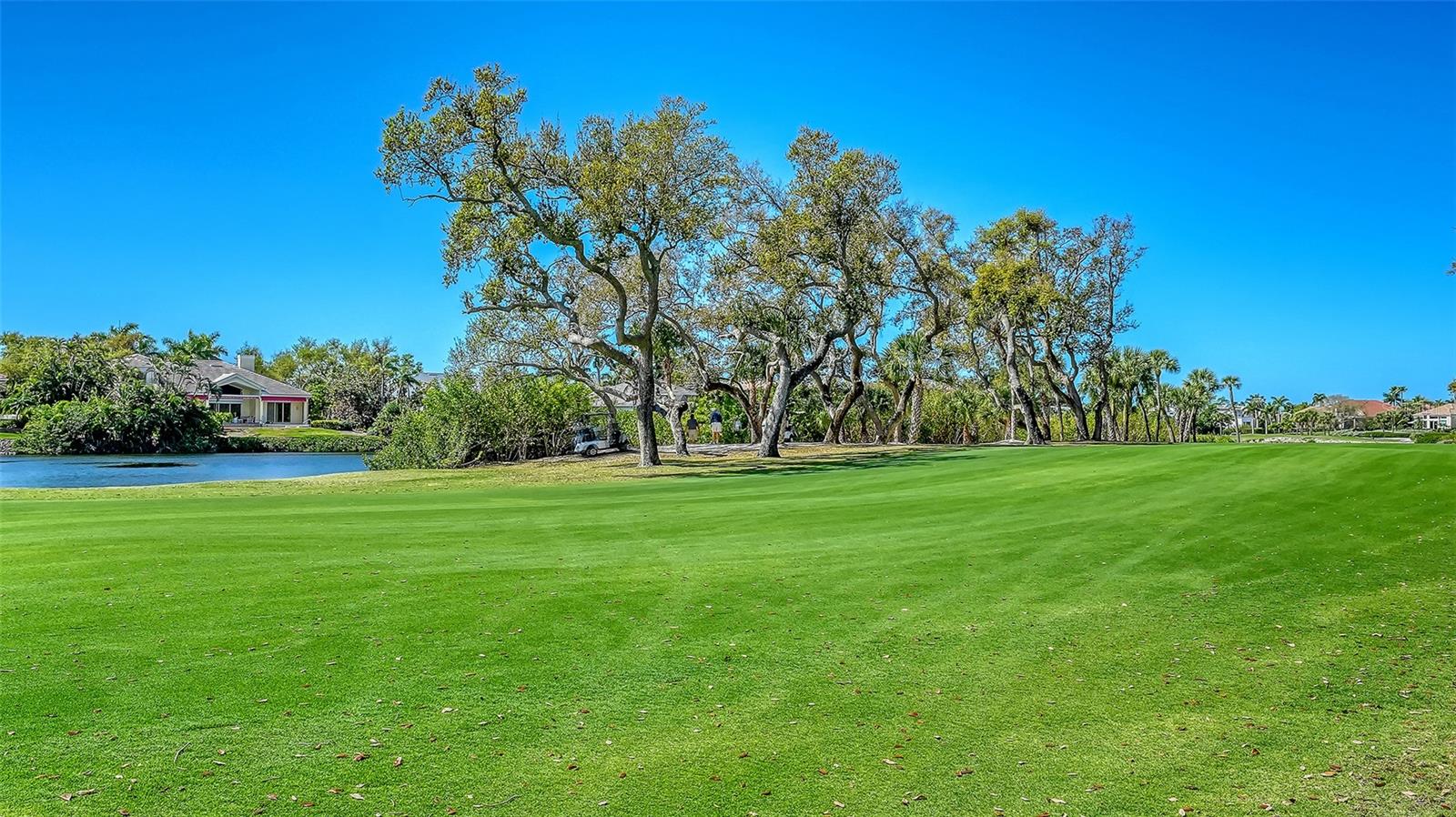 QUEENS HARBOUR - Residential