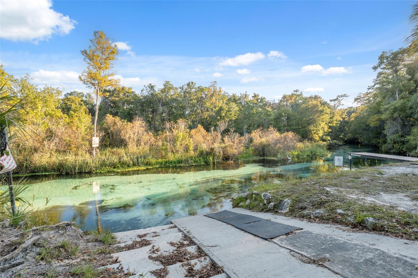 WEEKI WACHEE HILLS - Residential