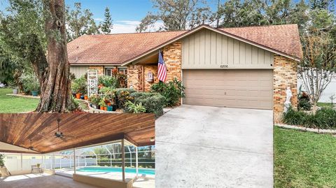 A home in TEMPLE TERRACE