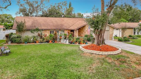 A home in TEMPLE TERRACE