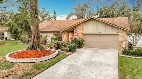 A home in TEMPLE TERRACE