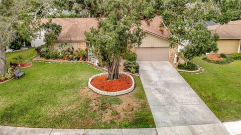 A home in TEMPLE TERRACE