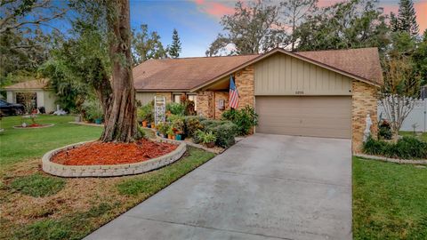 A home in TEMPLE TERRACE