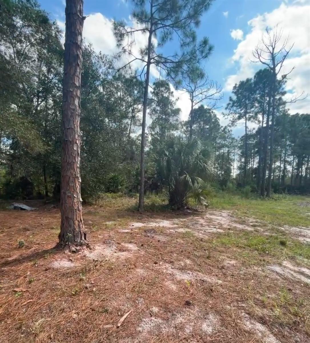 MONTURA RANCH ESTATES - Land