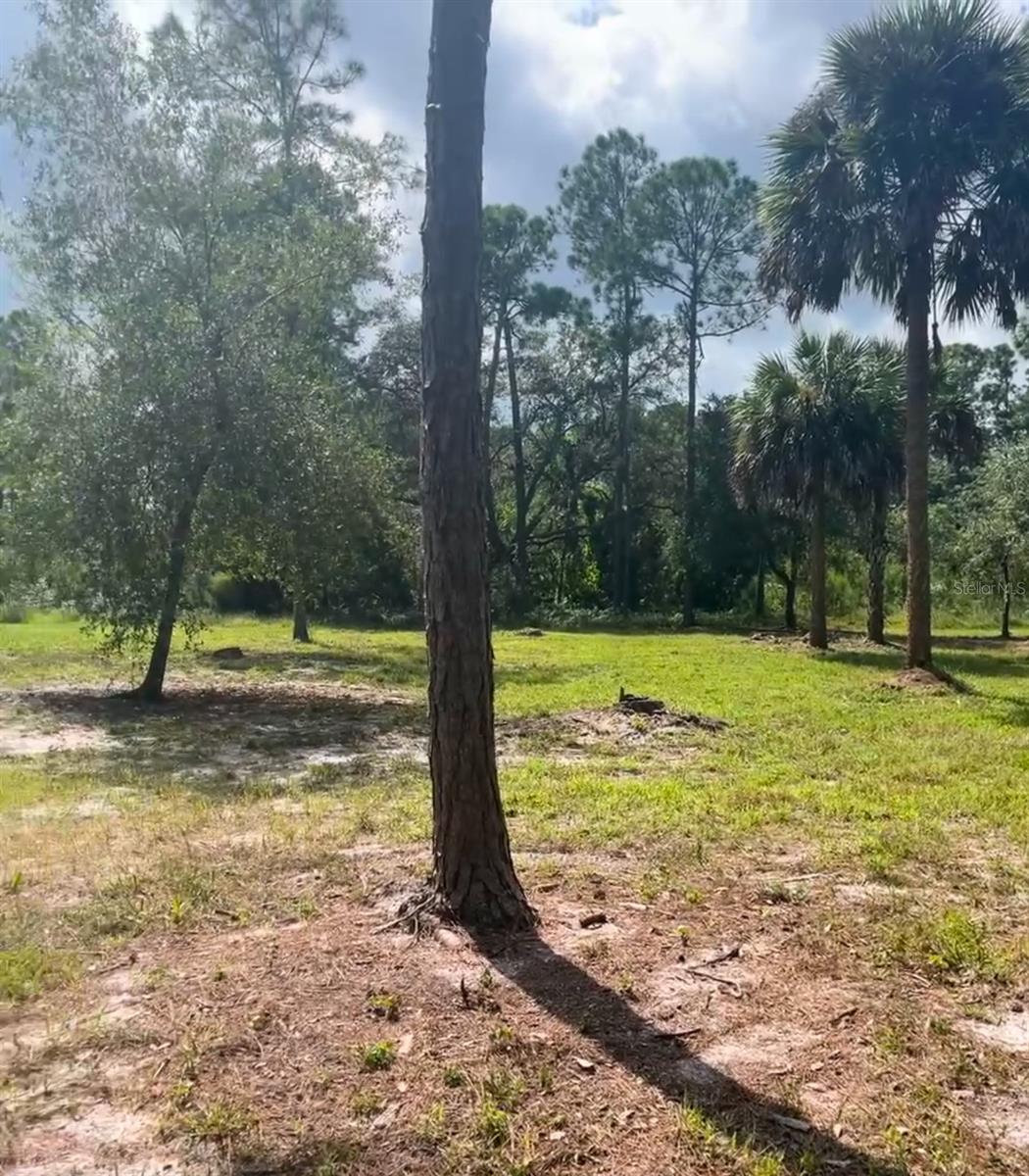 MONTURA RANCH ESTATES - Land