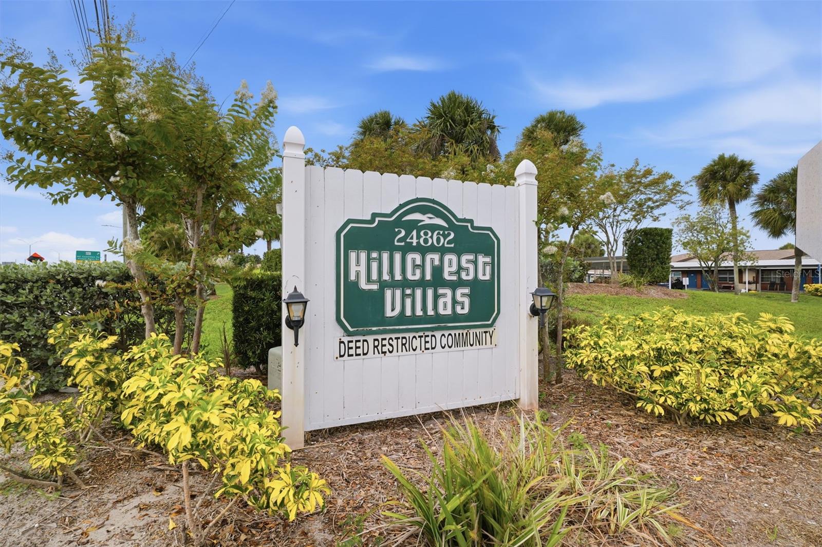 24862 US HIGHWAY 19 N 3506