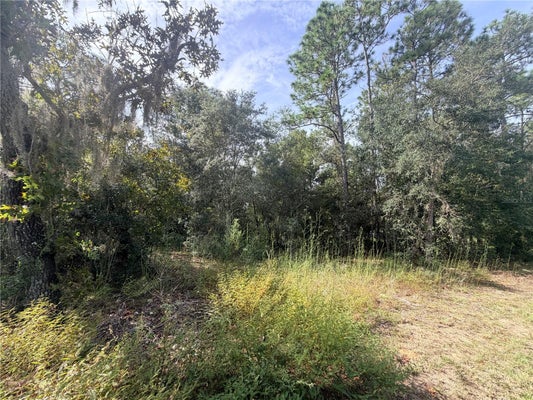 5066 E ANNA JO DR, INVERNESS, FL 34452 - Image 476d3fdfcb0cbd9acac0d99be6f70e9c/1947833738