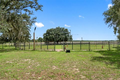 A home in WIMAUMA