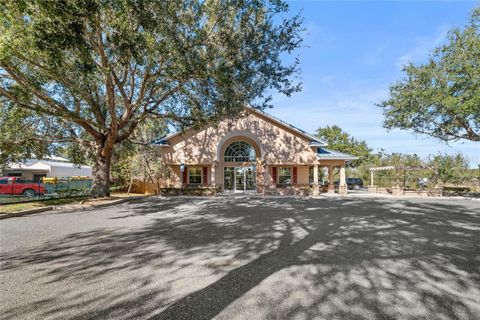 Tiny photo for 3300 N Highway 19a, Mount Dora, FL 32757 (MLS # O6383136)