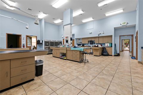 Tiny photo for 3300 N Highway 19a, Mount Dora, FL 32757 (MLS # O6383136)